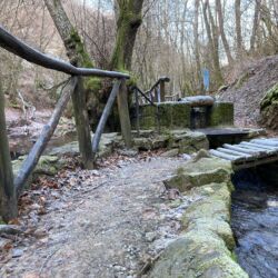 ©Associazione Ecomuseo della Montagna Pistoiese
